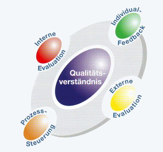 Grafik der fünf QmbS-Bestandteile: Qualitätsverständnis, Interne Evaluation, Prozesssteuerung, Externe Evaluation, Individual-Feedback