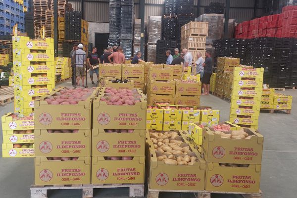 Obstgroßhandel