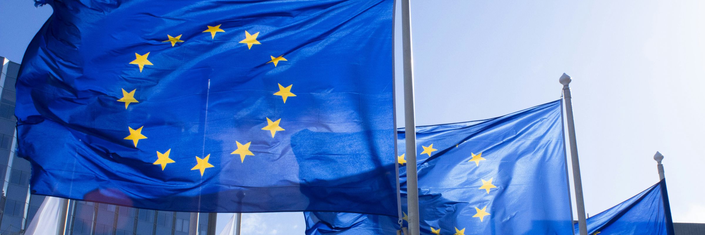 Flaggen der EU vor blauem Himmel