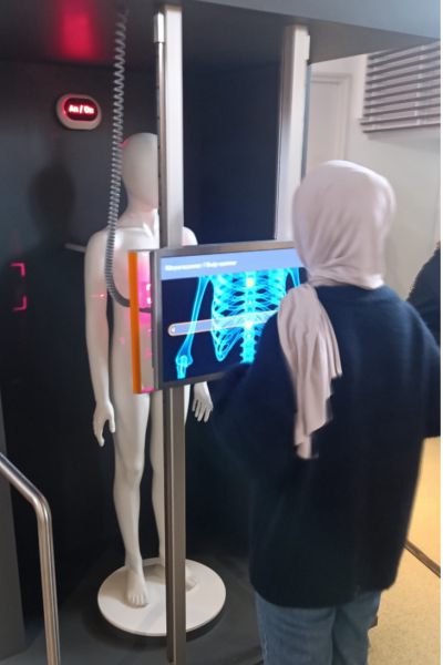 Schülerin vor Bildschirm mit Skelett 